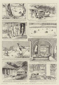 La Vie dans et autour d